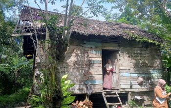 Miris,Ibu Supiana Warga Bantayan Simpan Ulim Tinggal Di Rumah Tak Layak Huni Butuh Perhatian Pemerintah.