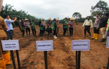 Program Penanaman Jagung Serentak di Kabupaten PALI , Selengkapnya Buka Link di 👇👇