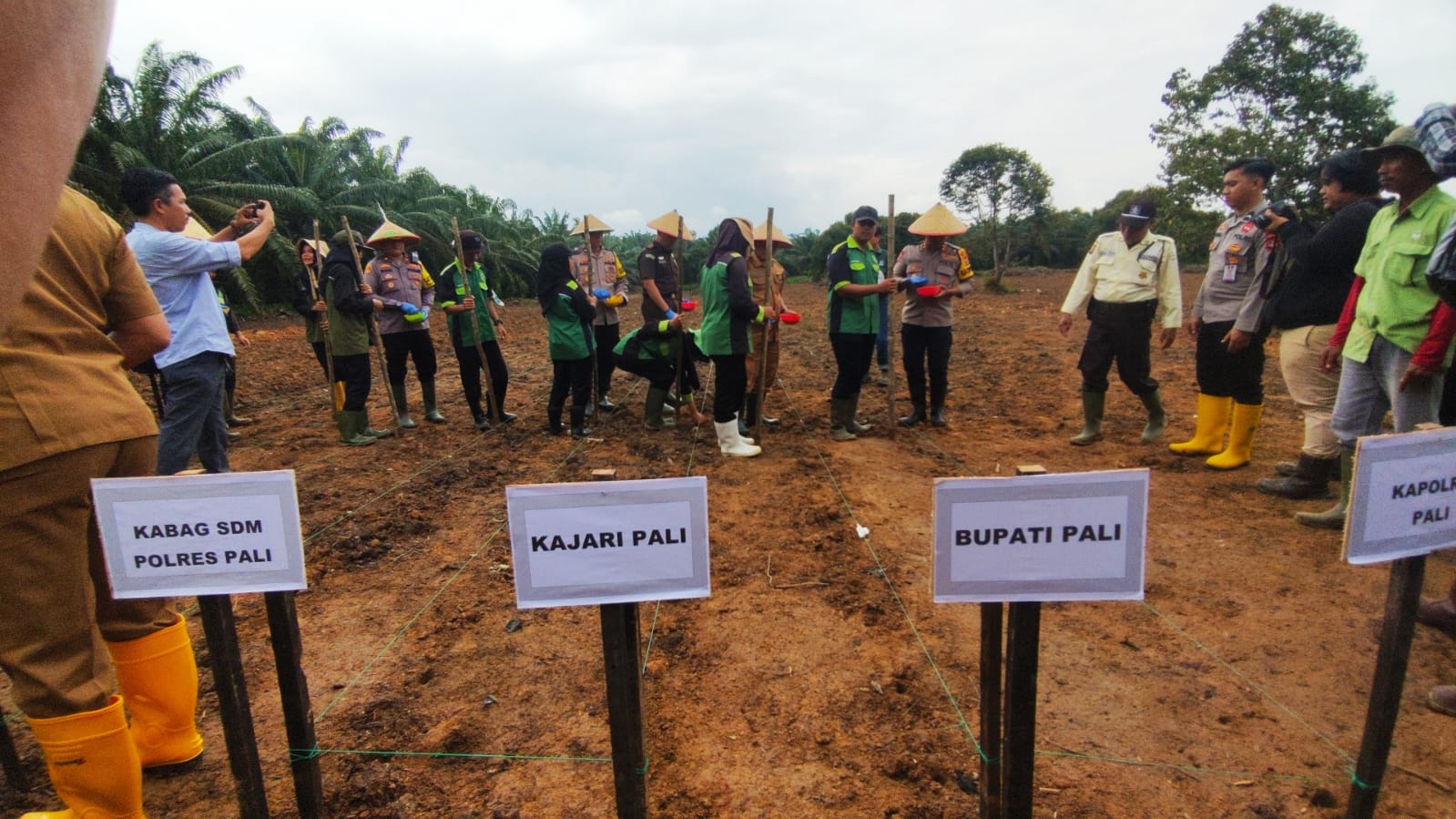 Program Penanaman Jagung Serentak di Kabupaten PALI , Selengkapnya Buka Link di 👇👇