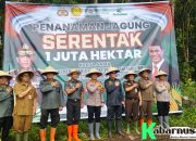 Perhutani dan Polres Gelar Penanaman Jagung , Untuk Swasembada Pangan 2025