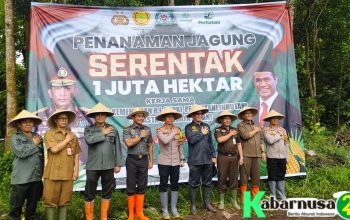 Perhutani dan Polres Gelar Penanaman Jagung , Untuk Swasembada Pangan 2025