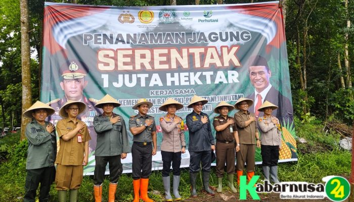 Perhutani dan Polres Gelar Penanaman Jagung , Untuk Swasembada Pangan 2025