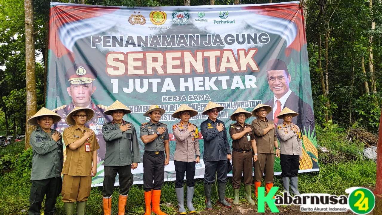 Perhutani dan Polres Gelar Penanaman Jagung , Untuk Swasembada Pangan 2025