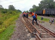 Tingkatkan Keselamatan, Selama 2024 KAI Divre III Palembang Ganti Rel Baru Sepanjang 131.500 Meter
