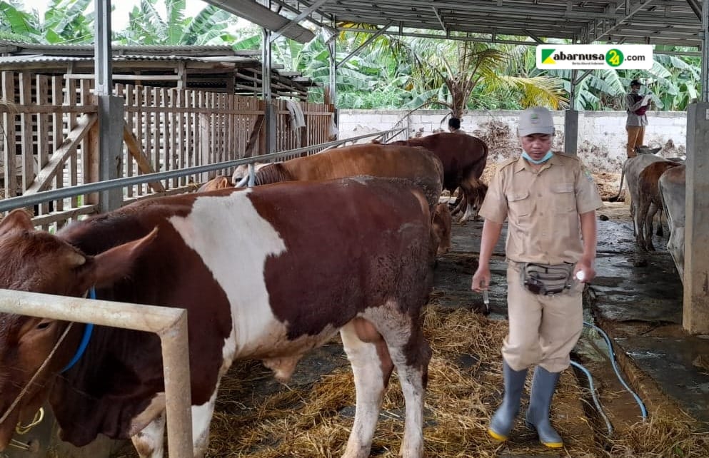 Dinas Pertanian Kabupaten Bekasi Antisipasi Penyebaran Penyakit Mulut dan Kuku pada Hewan Ternak