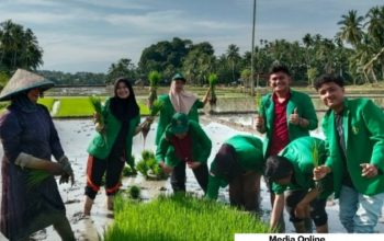 Mahasiswa KKN 39 UNIMAL Ikut Menanam Padi Untuk Pemberdayaan Potensi Desa Menuju Ketahanan Pangan Nasional 