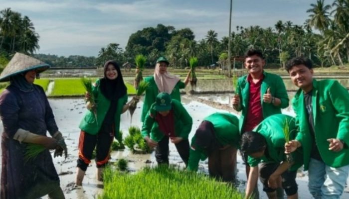 Mahasiswa KKN 39 UNIMAL Ikut Menanam Padi Untuk Pemberdayaan Potensi Desa Menuju Ketahanan Pangan Nasional 