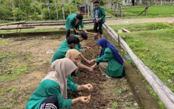 Mahasiswa KKN Kelompok 223 Menciptakan Apotik Hidup Bagi Masyarakat