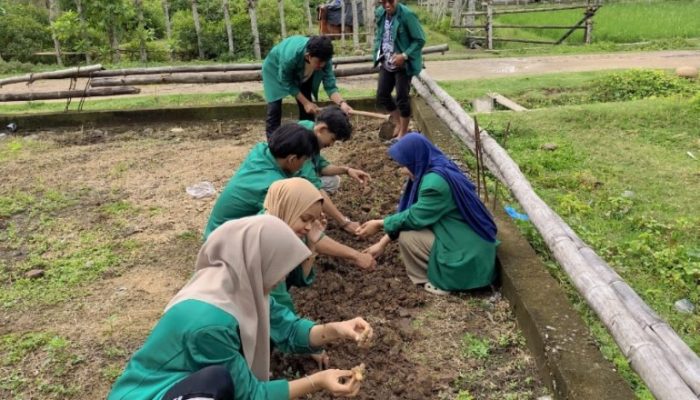 Mahasiswa KKN Kelompok 223 Menciptakan Apotik Hidup Bagi Masyarakat