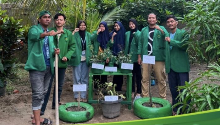 Mahasiswa KKN Kelompok 188 Wujudkan Apotek Hijau di Desa Meuria, Kecamatan Matangkuli