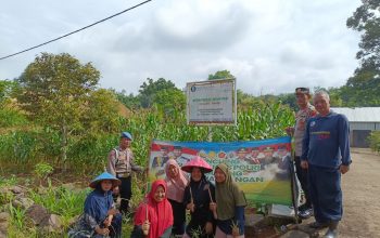 Bhabinkamtibmas  Polres Lampung Utara  Laksanakan Pengecekan Program Ketahanan Pangan Bergizi