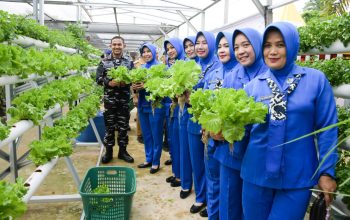 Danlanal Palembang Ikuti Ketahanan Pangan Serentak di Rumdis Arafuru