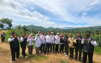 Pj. Bupati Garut Tinjau Persiapan Panen Raya Jagung di Limbangan, Apresiasi Kinerja Dinas Pertanian