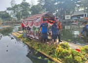 Dalam Rangka HJG Beberapa Intansi Pemerintah Kab.Garut Bersihkan Eceng Gondok di Situ Bagendit