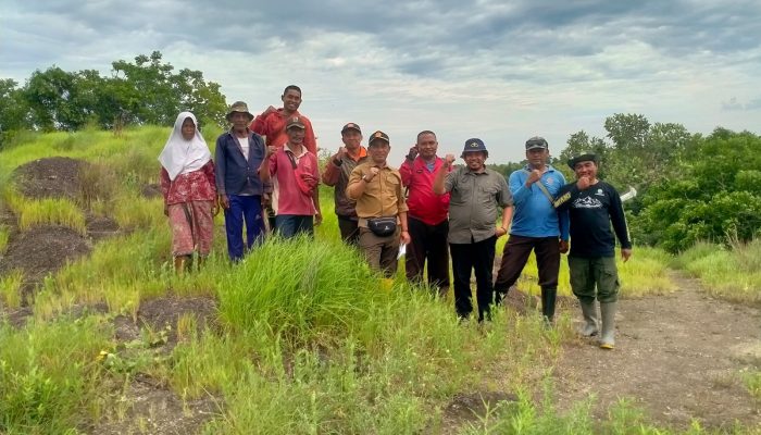 Gelar Sidak, Wakil ADM Perum Perhutani KSKPH Bondowoso Utara Pastikan Keberhasilan Reboisasi