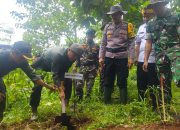 Untuk Melestarikan Hutan, Perhutani Bondowoso Gandeng FORKOPIMCAM BINAKAL Gelar Penanaman Pohon Bersama 