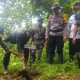 Untuk Melestarikan Hutan, Perhutani Bondowoso Gandeng FORKOPIMCAM BINAKAL Gelar Penanaman Pohon Bersama 