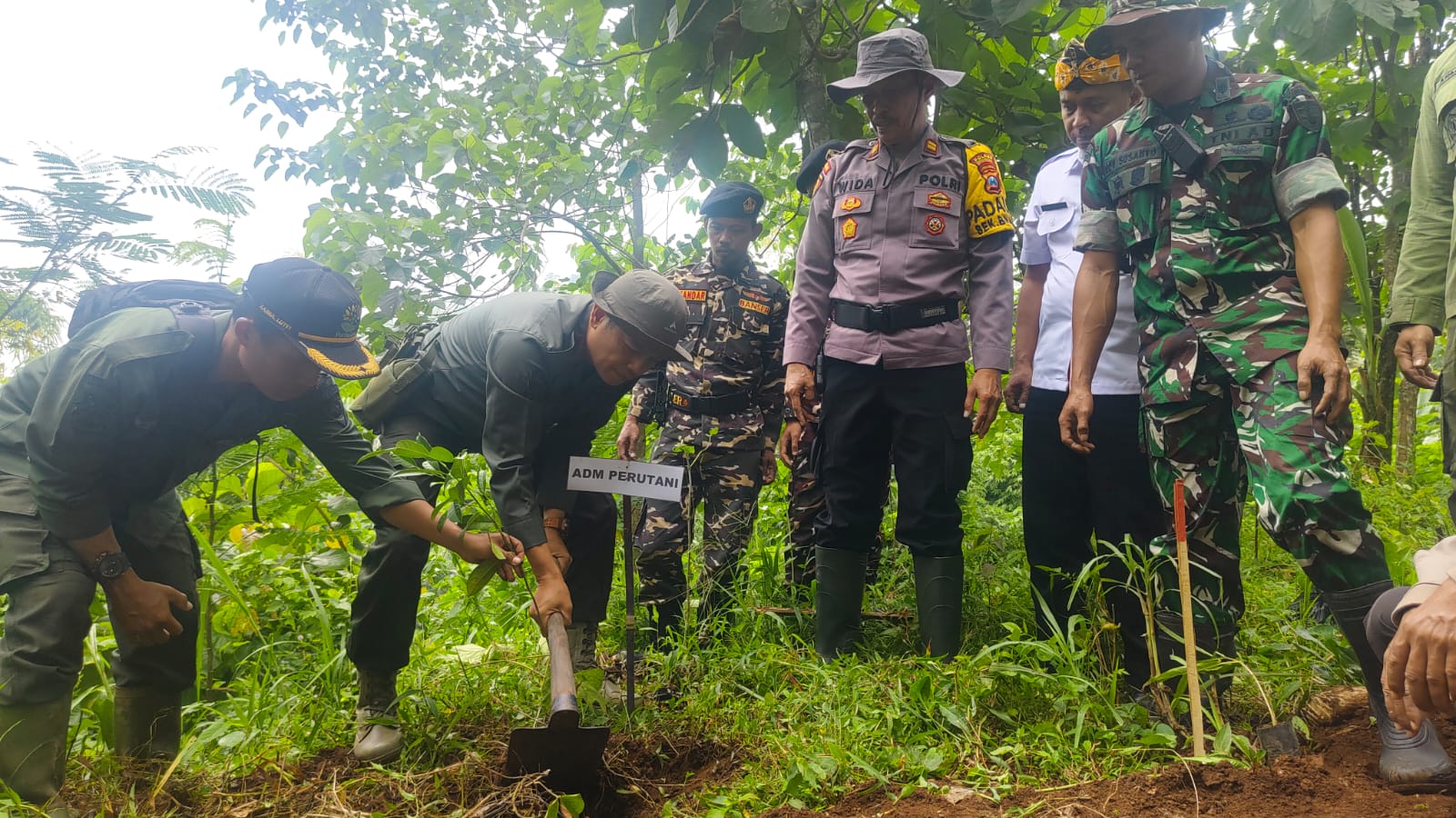 Untuk Melestarikan Hutan, Perhutani Bondowoso Gandeng FORKOPIMCAM BINAKAL Gelar Penanaman Pohon Bersama 