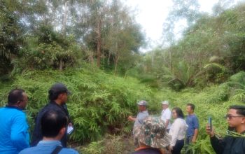 Sengketa Perampasan Lahan Tanah Antara Eddy Hartono Dengan PT. IMP Terus Berlanjut, Kali Ini Muncul Patok Baru Saat PN Sintang Turun Kelokasi