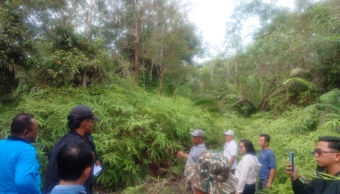 Sengketa Perampasan Lahan Tanah Antara Eddy Hartono Dengan PT. IMP Terus Berlanjut, Kali Ini Muncul Patok Baru Saat PN Sintang Turun Kelokasi