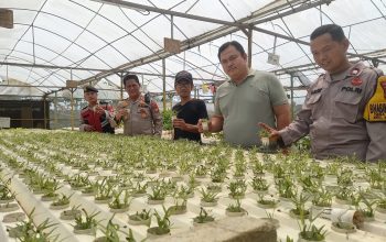 Kapolsek Serang Baru Giat Pengecekan Lahan Ketahanan Pangan