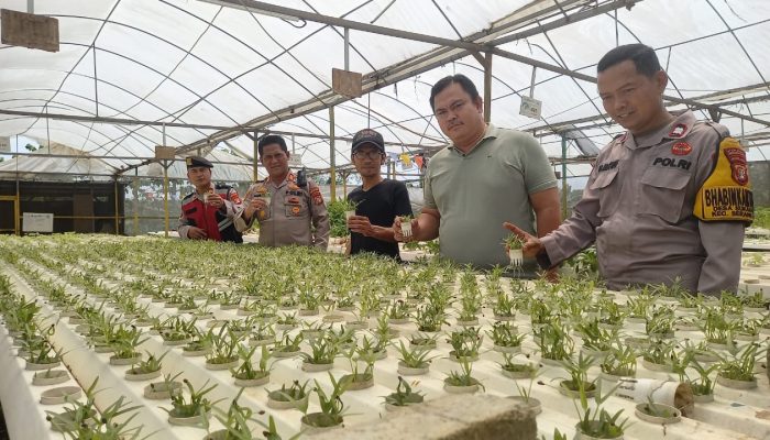 Kapolsek Serang Baru Giat Pengecekan Lahan Ketahanan Pangan