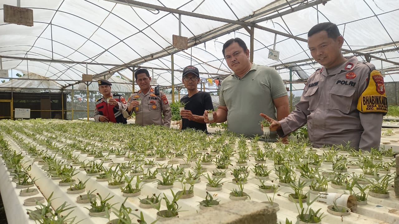 Kapolsek Serang Baru Giat Pengecekan Lahan Ketahanan Pangan