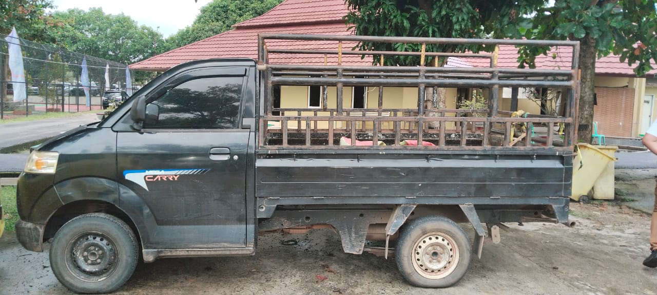 Diduga Mencuri Sapi, Warga Desa Aur Duri Di Ringkus Tim Srigala Unit Reskrim Polsek Penukal Abab