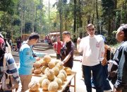 "Taman Hutan Raya Ir H Djuanda (Tahura) Menggelar Festival Riung Gunung Bandung"