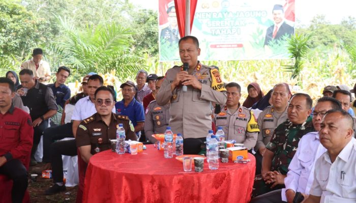 Polres PALI Gelar Panen Raya Jagung Tahap I: Wujud Sinergi dalam Mendukung Ketahanan Pangan Nasional