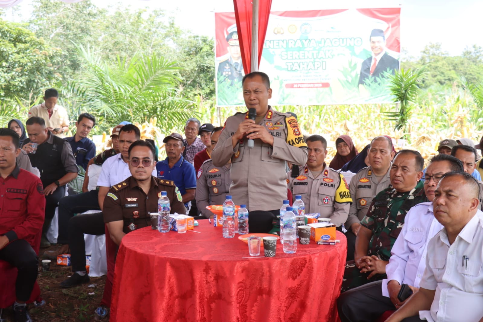 Polres PALI Gelar Panen Raya Jagung Tahap I: Wujud Sinergi dalam Mendukung Ketahanan Pangan Nasional