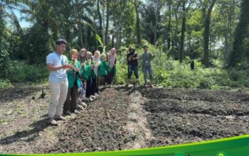 Kelompok 245 Kuliah Kerja Nyata (KKN) Universitas Malikussaleh Mengadakan Kegiatan Membuka Lahan