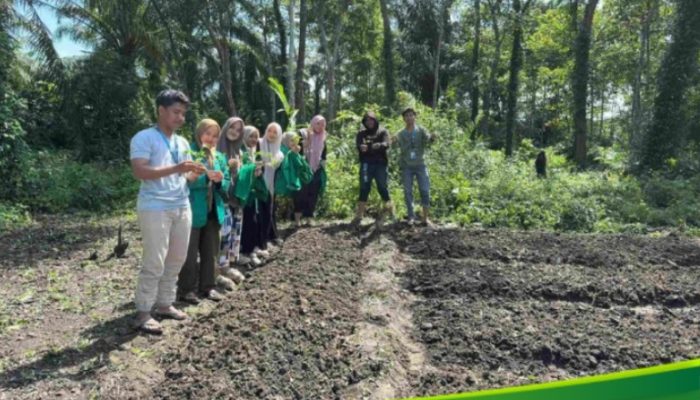 Kelompok 245 Kuliah Kerja Nyata (KKN) Universitas Malikussaleh Mengadakan Kegiatan Membuka Lahan