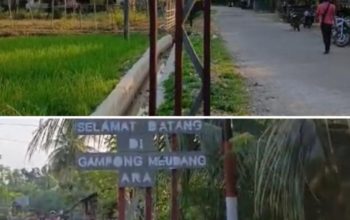 Mahasiswa KKN 75 Tutup Pengabdian dengan Penyerahan Gapura Gampong Meudang Ara