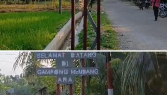 Mahasiswa KKN 75 Tutup Pengabdian dengan Penyerahan Gapura Gampong Meudang Ara