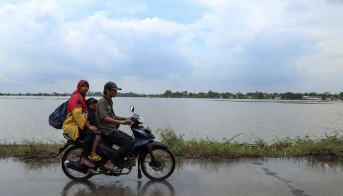 Musim Penghujan, Dinas Pertanian Kabupaten Bekasi Lakukan Langkah Antisipasi