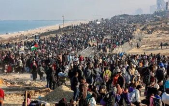 MUI Menilai Ada Motif Tersembunyi di Balik Rencana Relokasi Gaza