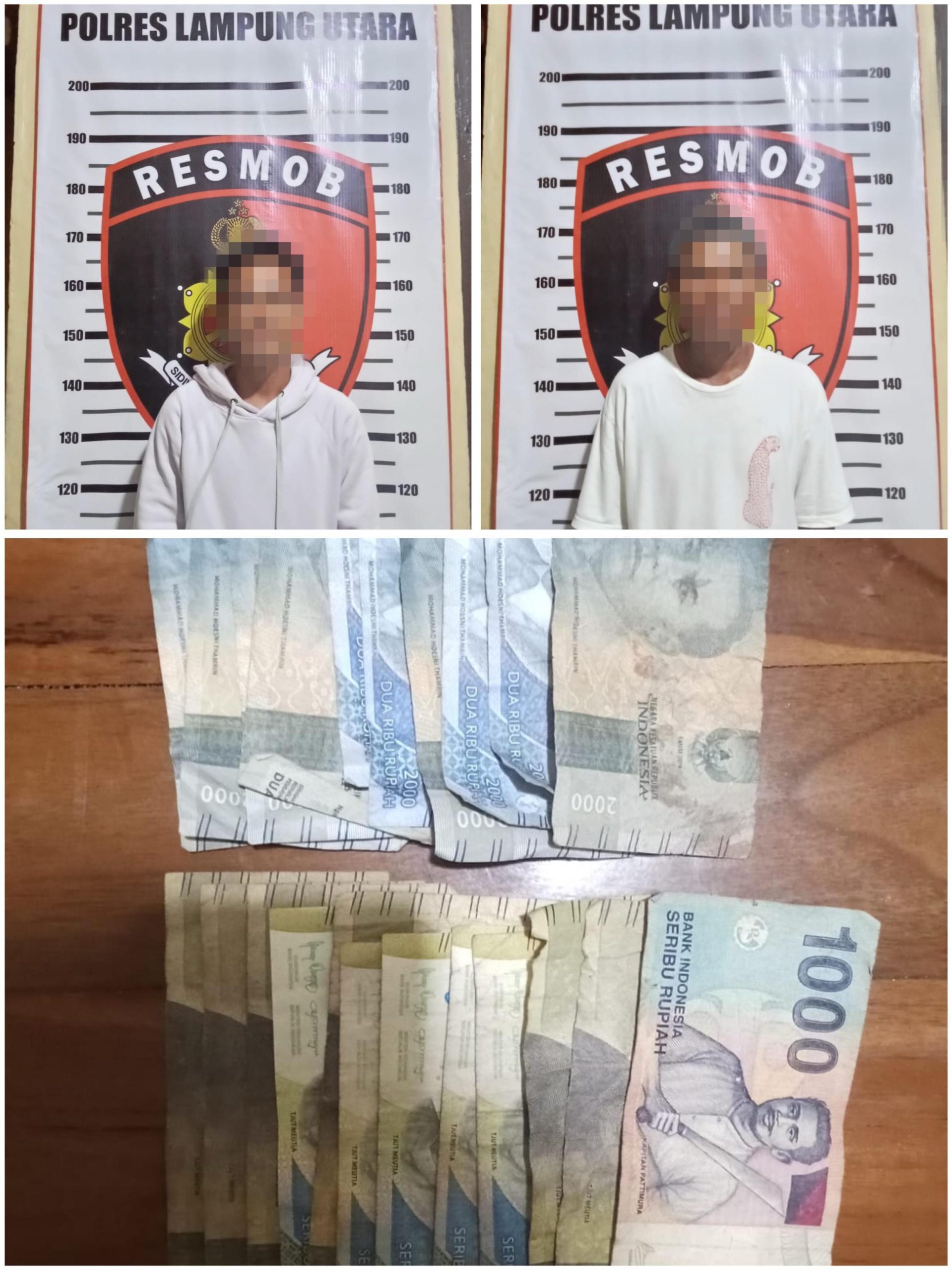 Ops Cempaka Krakatau, Polres Lampung Utara Ungkap To orang dan Tempat