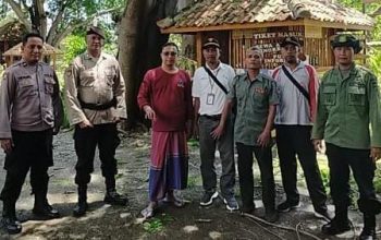 Lindungj Pengunjung Wisata, Perhutani Bondowoso Lakukan Perempesan Dan Pemangkasan Pohon Di BEACH FOREST 