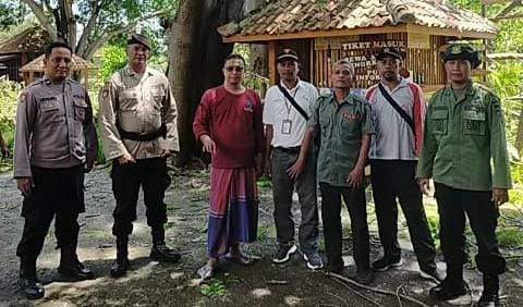 Lindungj Pengunjung Wisata, Perhutani Bondowoso Lakukan Perempesan Dan Pemangkasan Pohon Di BEACH FOREST 