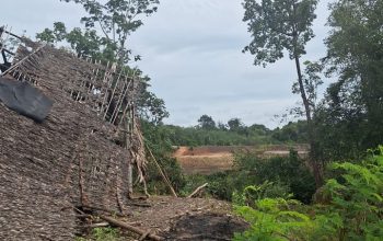 Bencana Longsor Terjadi di Dusun IV, Desa Karta Dewa, Kecamatan Talang Ubi, Kabupaten PALI