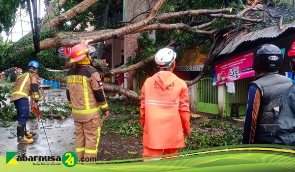 Pohon tumbang akibat cuaca ekstrim di Garut@Kabarnusa24.com