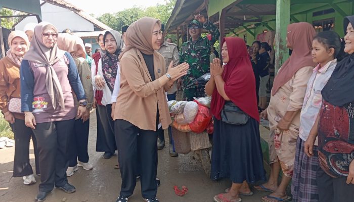 Ketua TP PKK Kabupaten Bekasi Tinjau Lokasi Banjir di Desa Medalkrisna