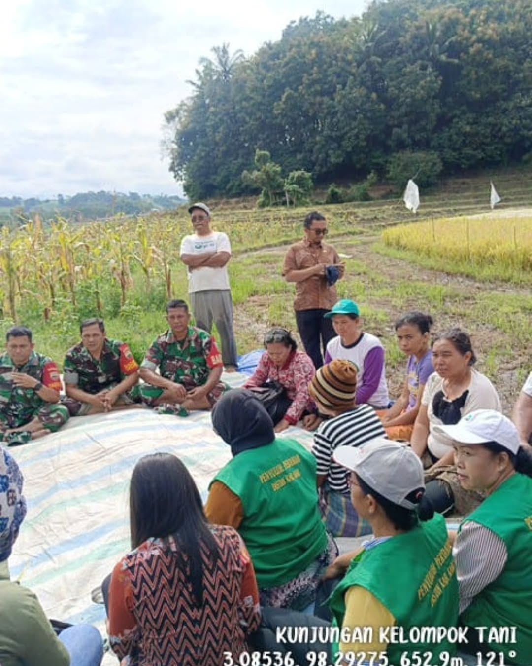 Dinas Pertanian bersa 4 Kelompok Tani Panen Perdana Penangkar Padi Sawah di desa Bunga Baru