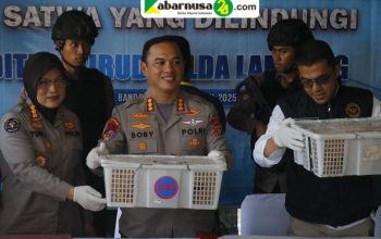 Ratusan Burung Ilegal Gagal Di, Truk Diamankan Di Pelabuhan Bakauheni selundupkan