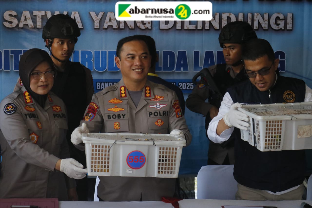 Ratusan Burung Ilegal Gagal Di, Truk Diamankan Di Pelabuhan Bakauheni selundupkan