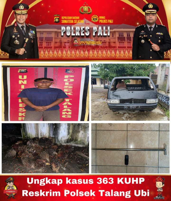 Tim Elang Polsek Talang Ubi Ringkus Pencuri Sawit PT Agro