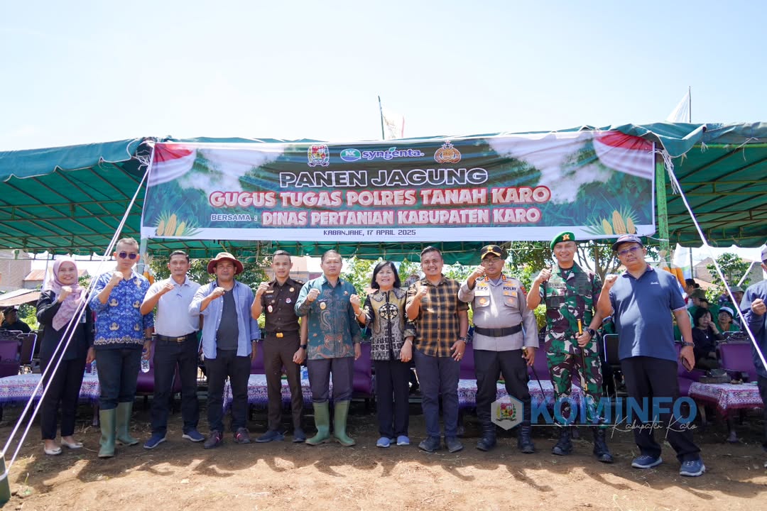 Wakil Bupati Karo bersama Jajaran Forkopimda Laksanakan Panen Jagung dalam Mendukung Ketahanan Pangan Wakil Bupati Karo bersama Jajaran Forkopimda Laksanakan Panen Jagung dalam Mendukung Ketahanan Pangan