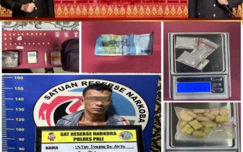 SATRESNARKOBA POLRES PALI BERHASIL UNGKAP KASUS PEREDARAN NARKOTIKA DI DESA TEMPIRAI