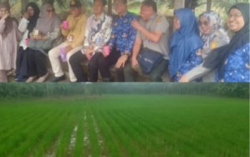 Kepala Dinas Pertanian Kabupaten PALI Bersama Tenaga Ahli Kementerian Pertanian Tinjau Lokasi Persawahan